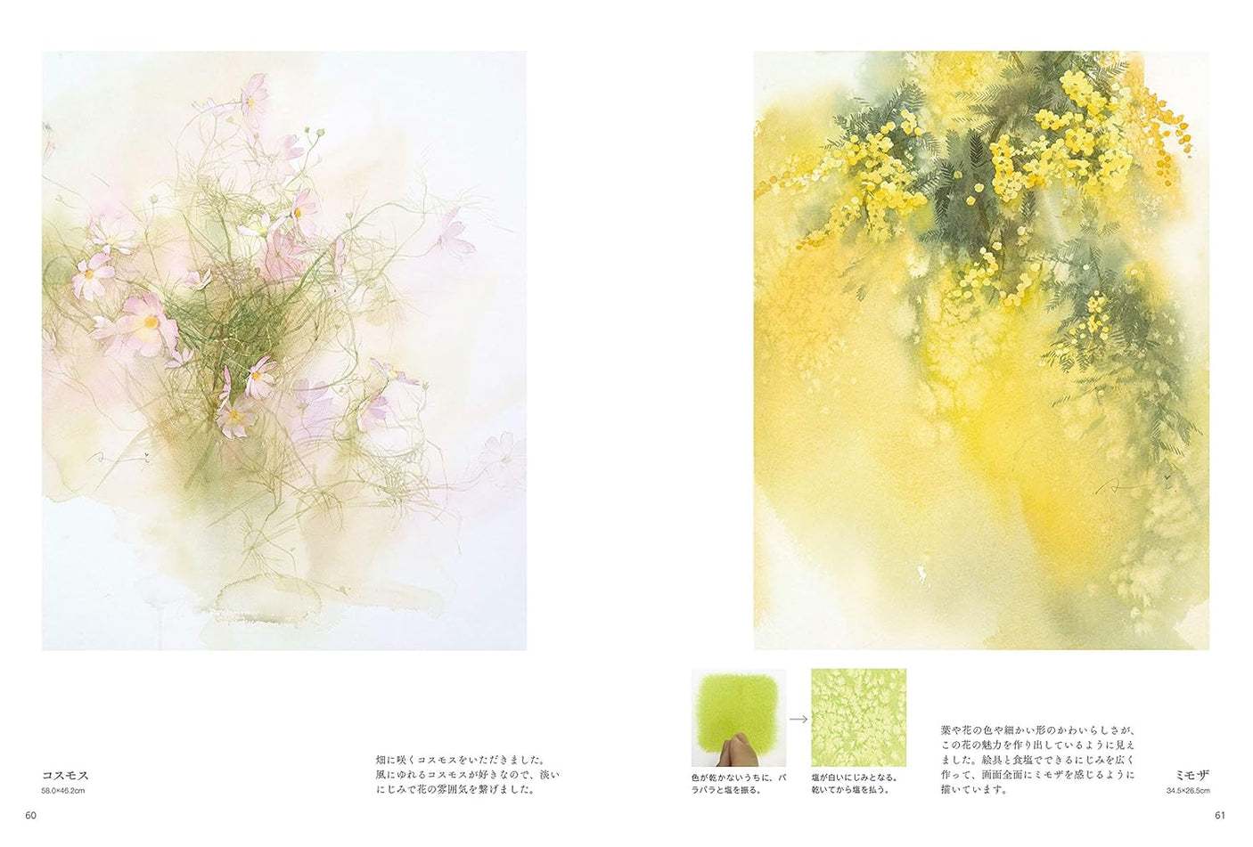 Start today with watercolor: drawing flowers - Japanese Craft Book