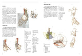 Anatomia drawing a moving human body Japanese Craft Book