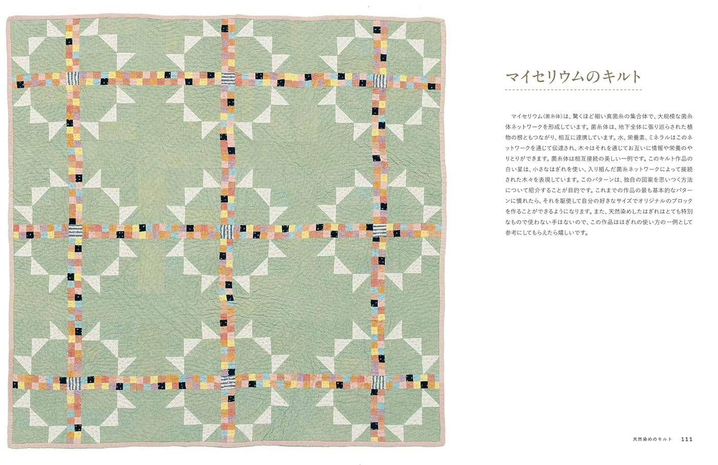 Naturally dyed quilts: organic dyeing recipes and patchwork patterns - Japanese Craft Book