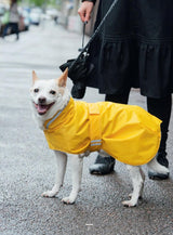 Tanya Newholm ompele koiralle Sewing for my Dog clothes - Japanese Craft Book