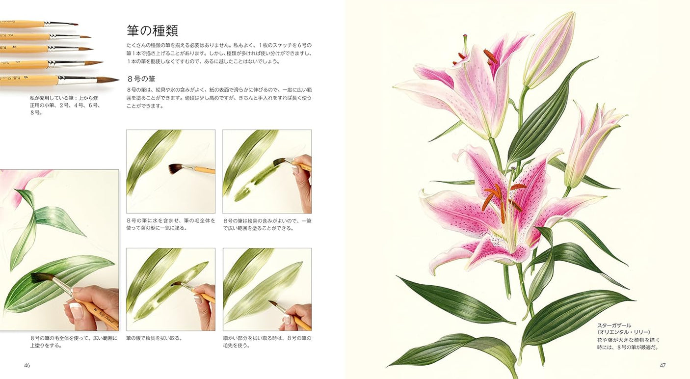 Botanical art drawn with watercolors Japanese Craft Book