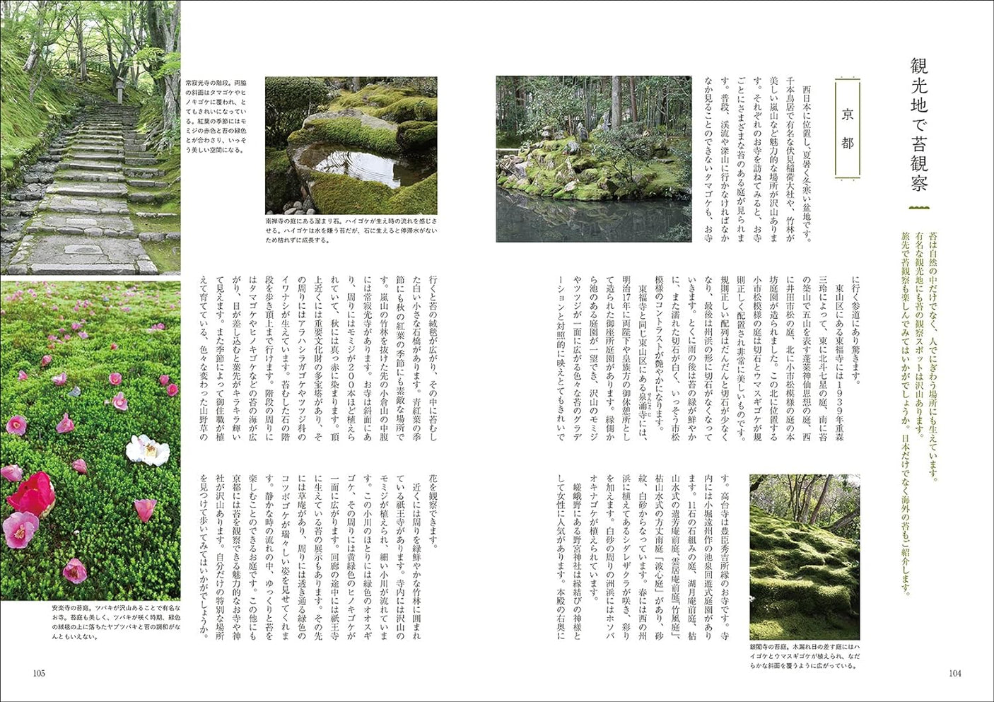 Easy maintenance for long-lasting enjoyment Moss Terrarium Yoshihiro Ono - Japanese Craft Book