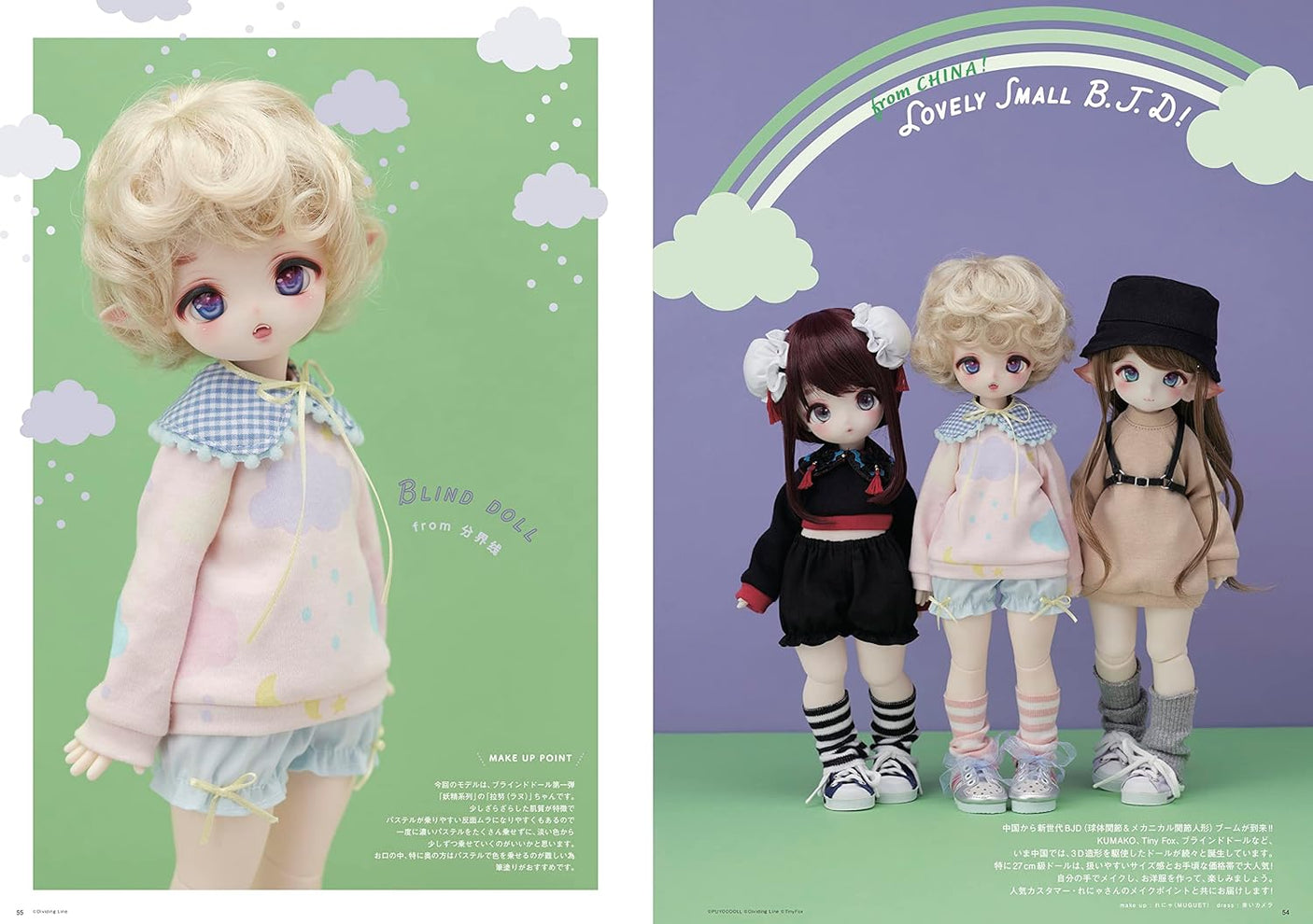 Dollybird vol.35 Japanese Book Making clothes Doll culture doll Sewing Sawako Araki - Japanese Craft Book