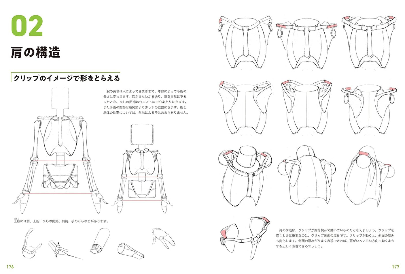 Master guide on how to draw the human body: Learn character drawing from the basics Japanese Craft Book