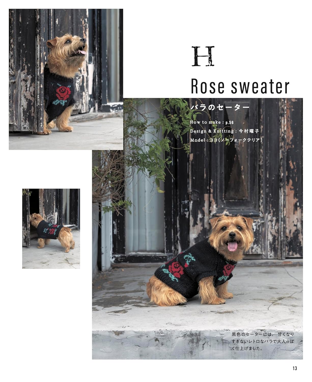 Warm hand-knitted dog clothes for small and medium-sized dogs - Japanese Craft Book