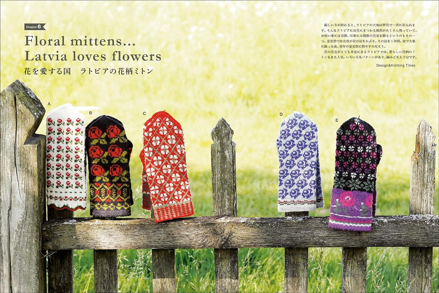 Expanded and revised Latvian hand knitted mittens of Latvia - Japanese Craft Book