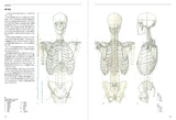 Anatomia Human body structure for drawing - Japanese Craft Book