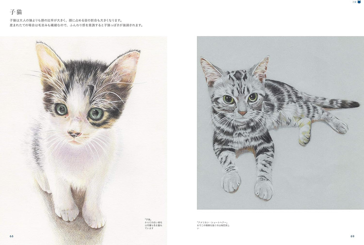 Cat Illustrations Japanese Craft Book Kentaro Nakamura - Japanese Craft Book