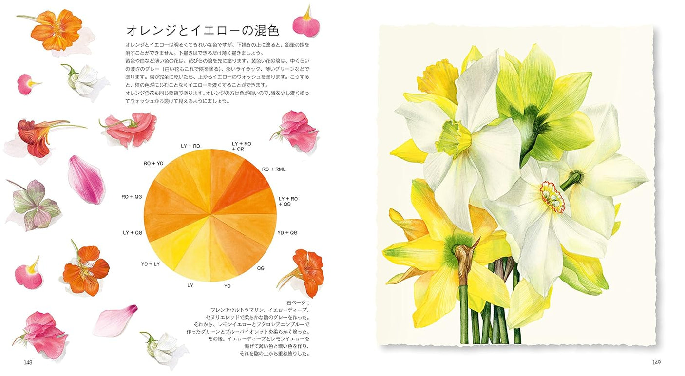 Botanical art drawn with watercolors Japanese Craft Book