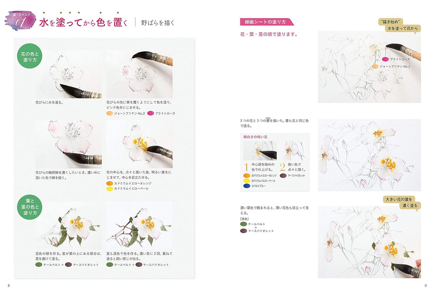 Start today with watercolor: drawing flowers - Japanese Craft Book