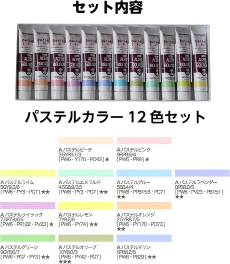 Turner Color Acrylic Gouache Pastel Color 12 Color Set AG02012P 20ML (No. 6)