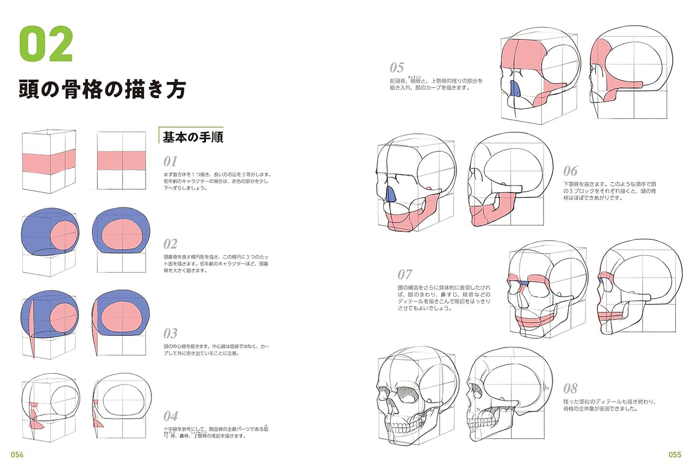 Master guide on how to draw the human body: Learn character drawing from the basics Japanese Craft Book