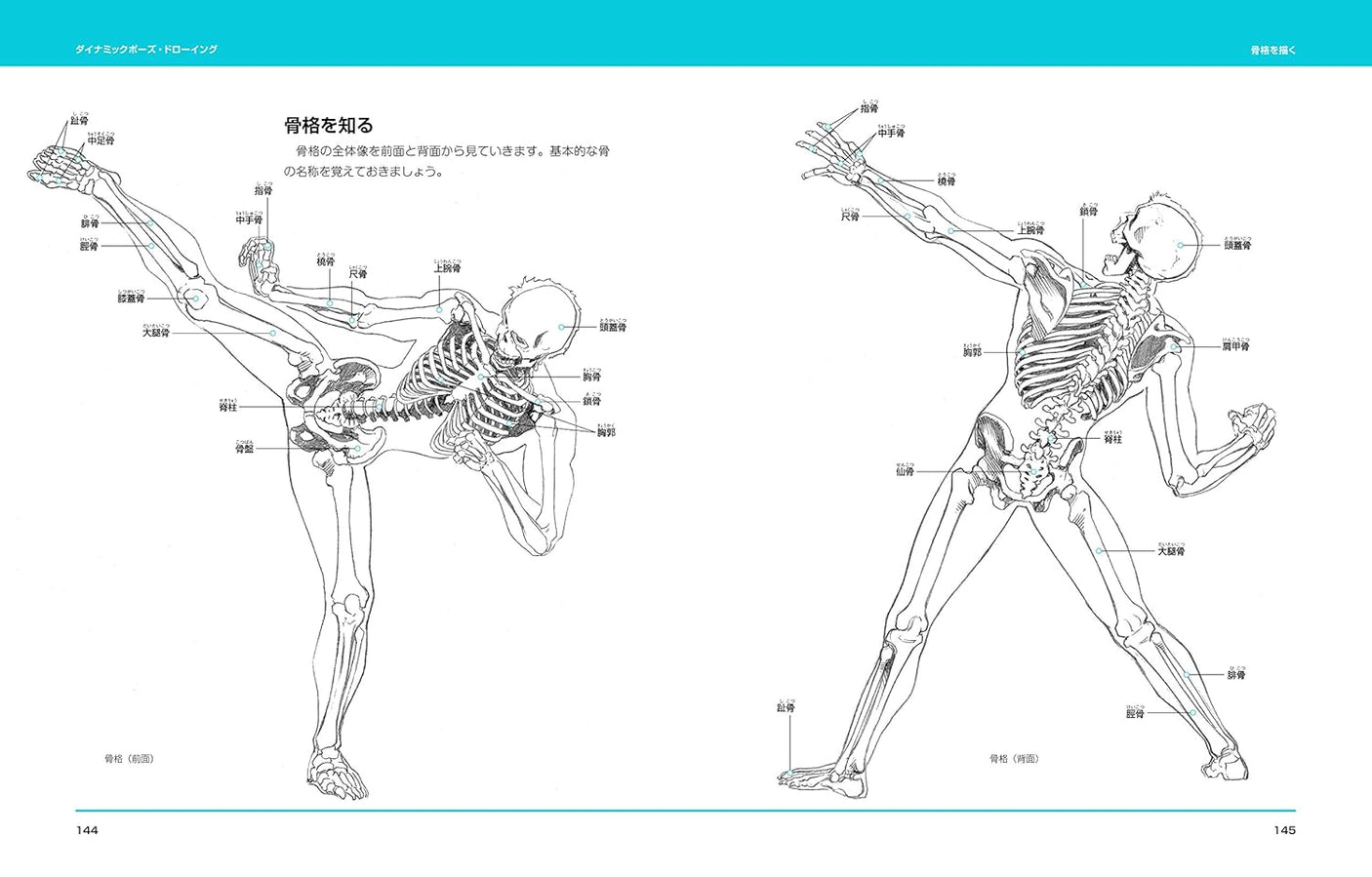 Dynamic pose drawing: Freehand Figure Drawing for Illustrators - Japanese Craft Book