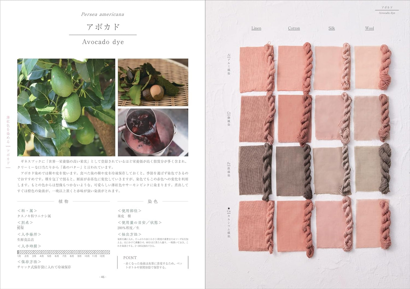 Enjoy plant dyeing at home with Maito Design Works - Japanese Craft Book