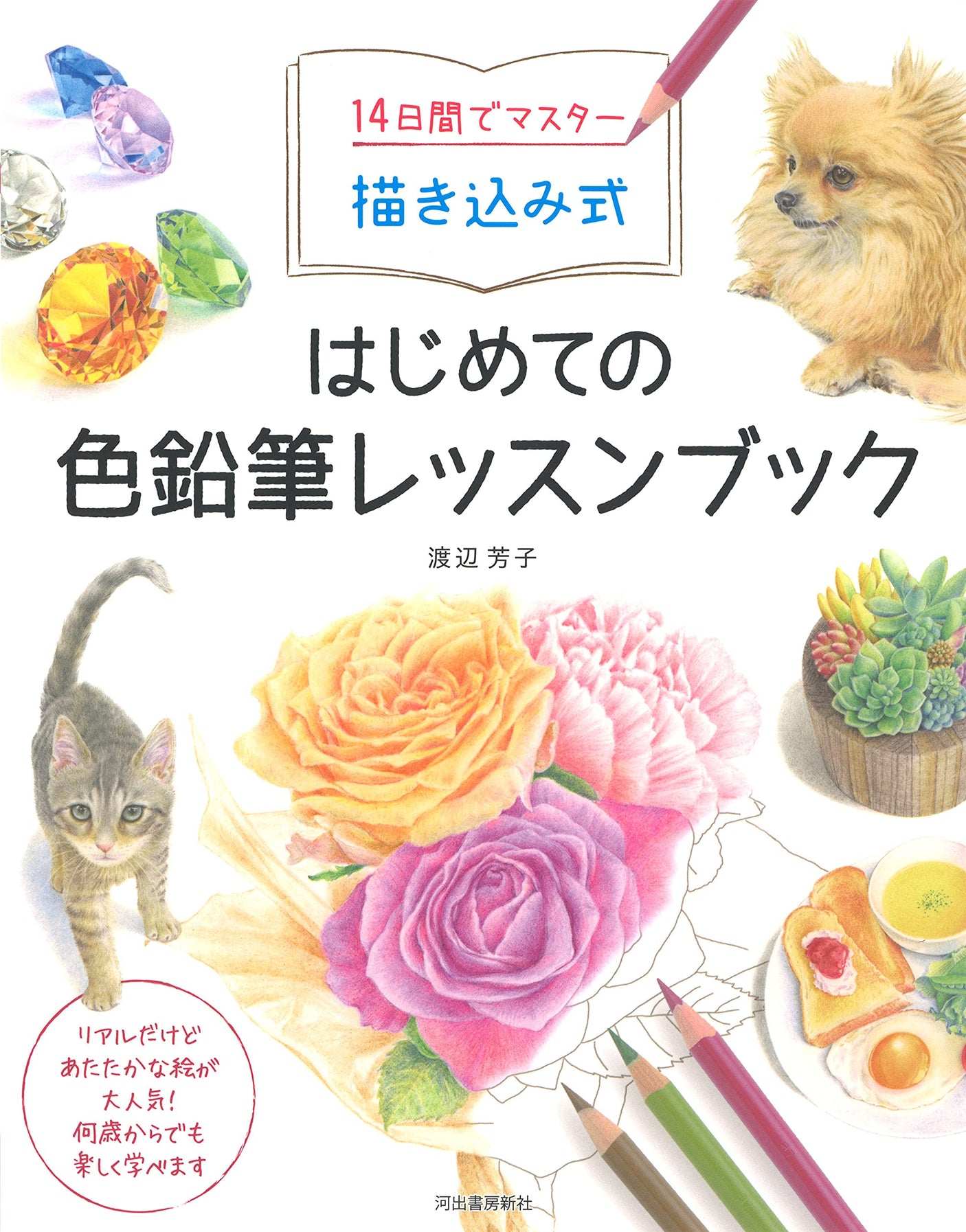 Master your first colored pencil lesson book in 14 days! - Japanese Craft Book