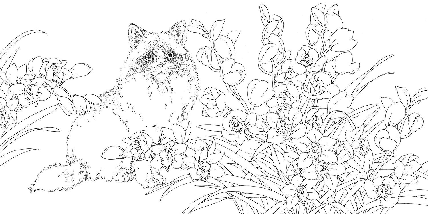 塗り絵・カリカチュア my personal coloring book 塗り絵・カリカチュア my personal coloring book 塗り絵