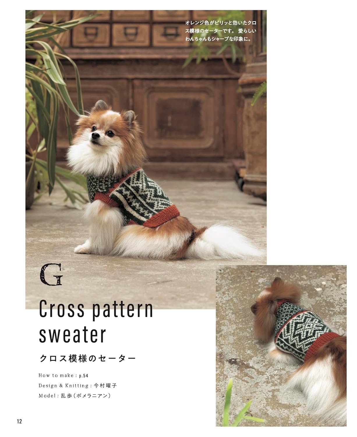 Warm hand-knitted dog clothes for small and medium-sized dogs - Japanese Craft Book