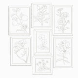 Fantasy Girl Museum: Black Forest Coloring Book - Japanese Craft Book