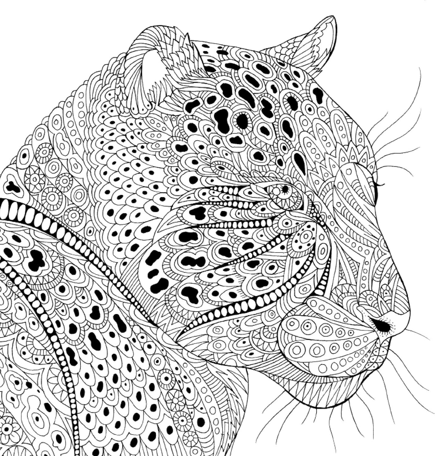 Beautiful animal coloring book Japanese Coloring Book