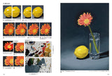 The basics of real oil painting in one day: A full-fledged introduction to painting in a variety of ways using just 6 colors + white! - Japanese Craft Book