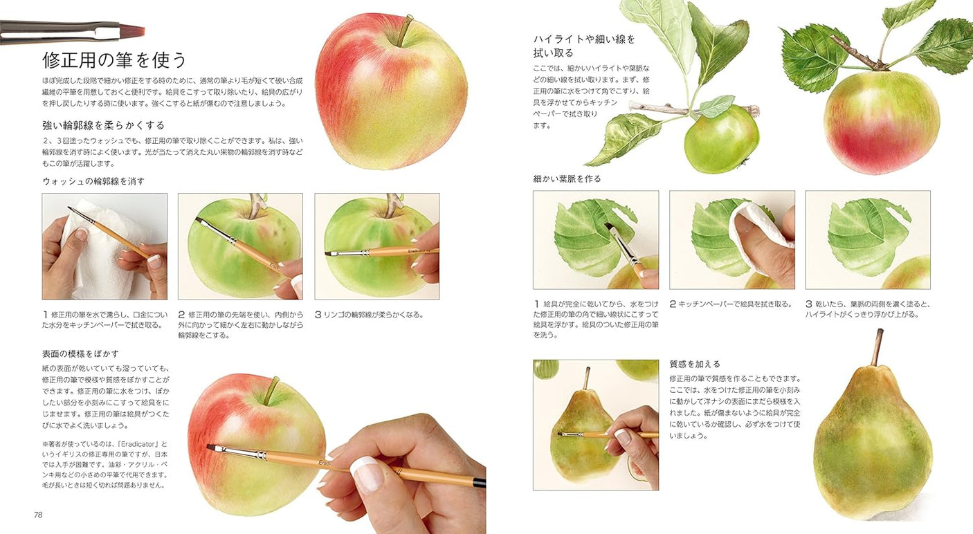 Botanical art drawn with watercolors Japanese Craft Book