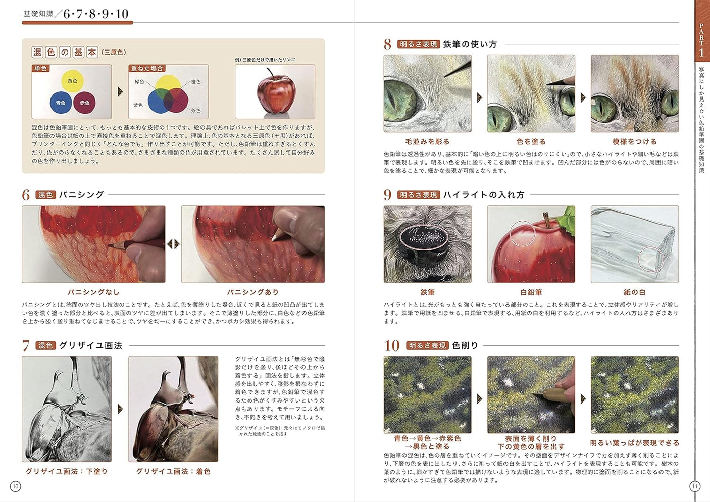 Coloring style Drill to improve colored pencil drawing that only looks like photos [Basic version] Japanese Coloring Book