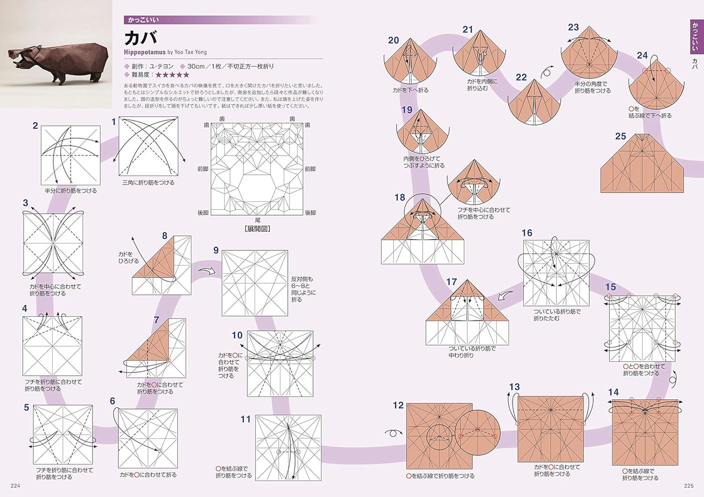 Elegant Origami Japan origami book Makoto Yamaguchi - Japanese Craft Book