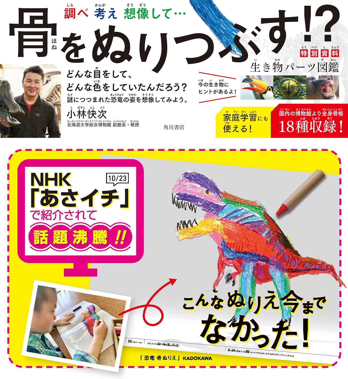 Dinosaur bone coloring page Japanese Coloring Book