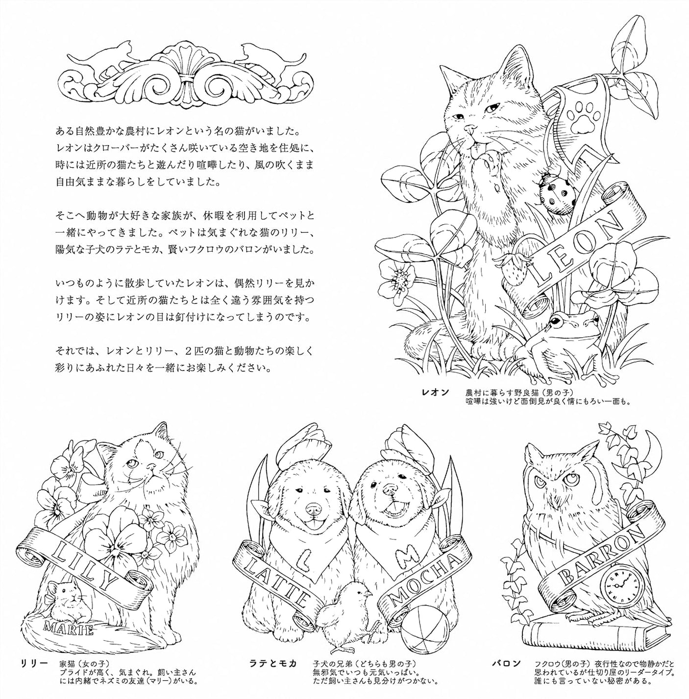 Follow in Leon's footsteps - A coloring book about a journey through the seasons with a cat - Japanese Craft Book