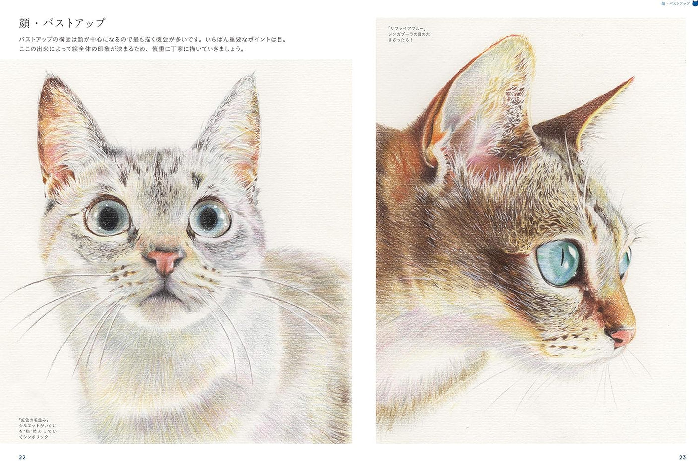 Cat Illustrations Japanese Craft Book Kentaro Nakamura - Japanese Craft Book