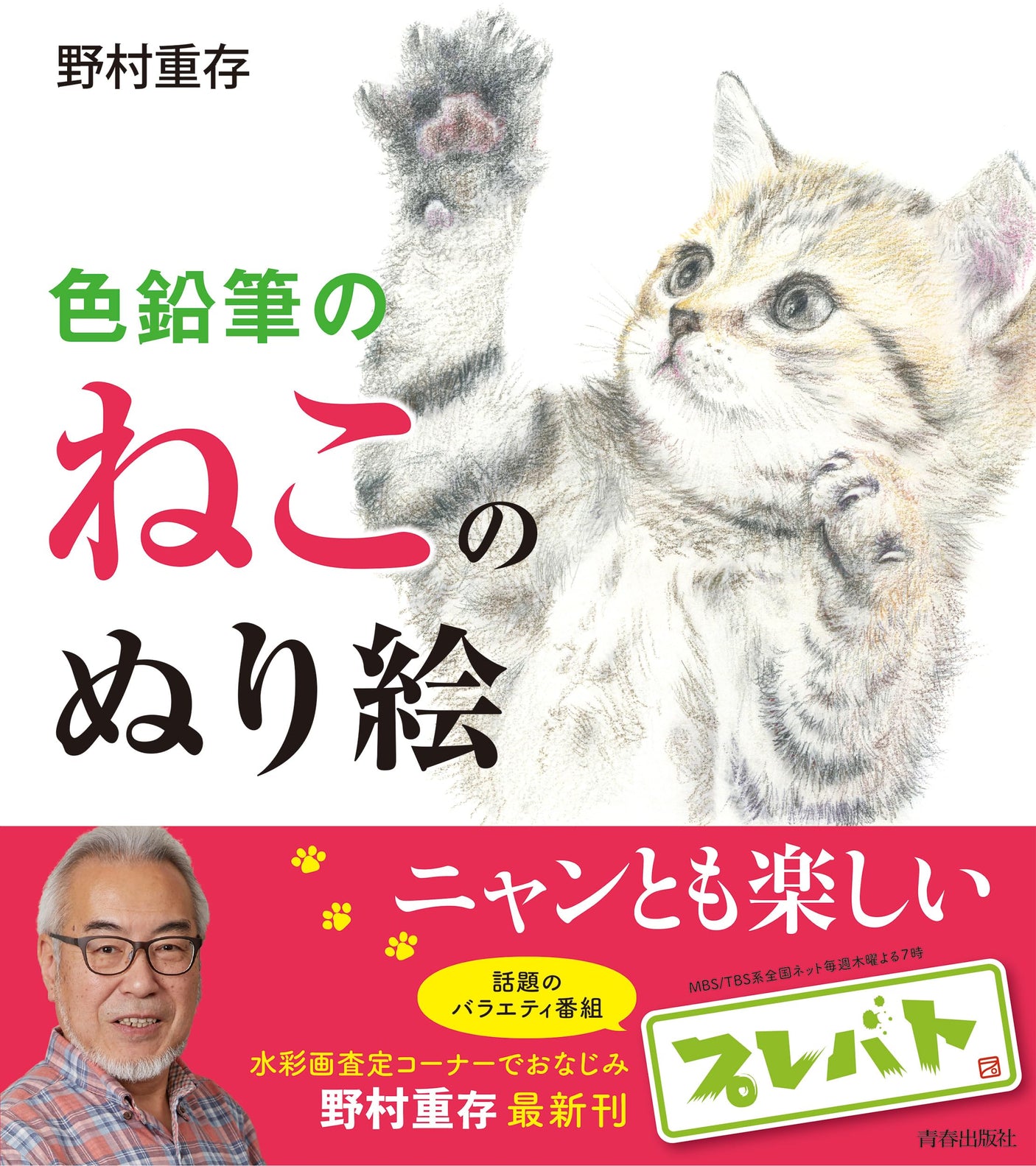 Colored pencil cat coloring book - Japanese Craft Book