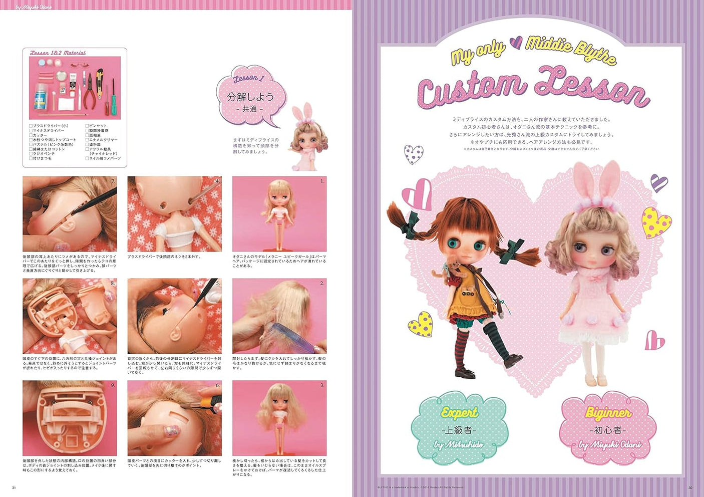 Dollybird vol.23 Japanese Making clothes Doll clothes doll Sewing EX cute Midi Blythe - Japanese Craft Book