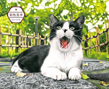 Masayuki Oki's the Free-roaming Cats - Japanese Coloring Book