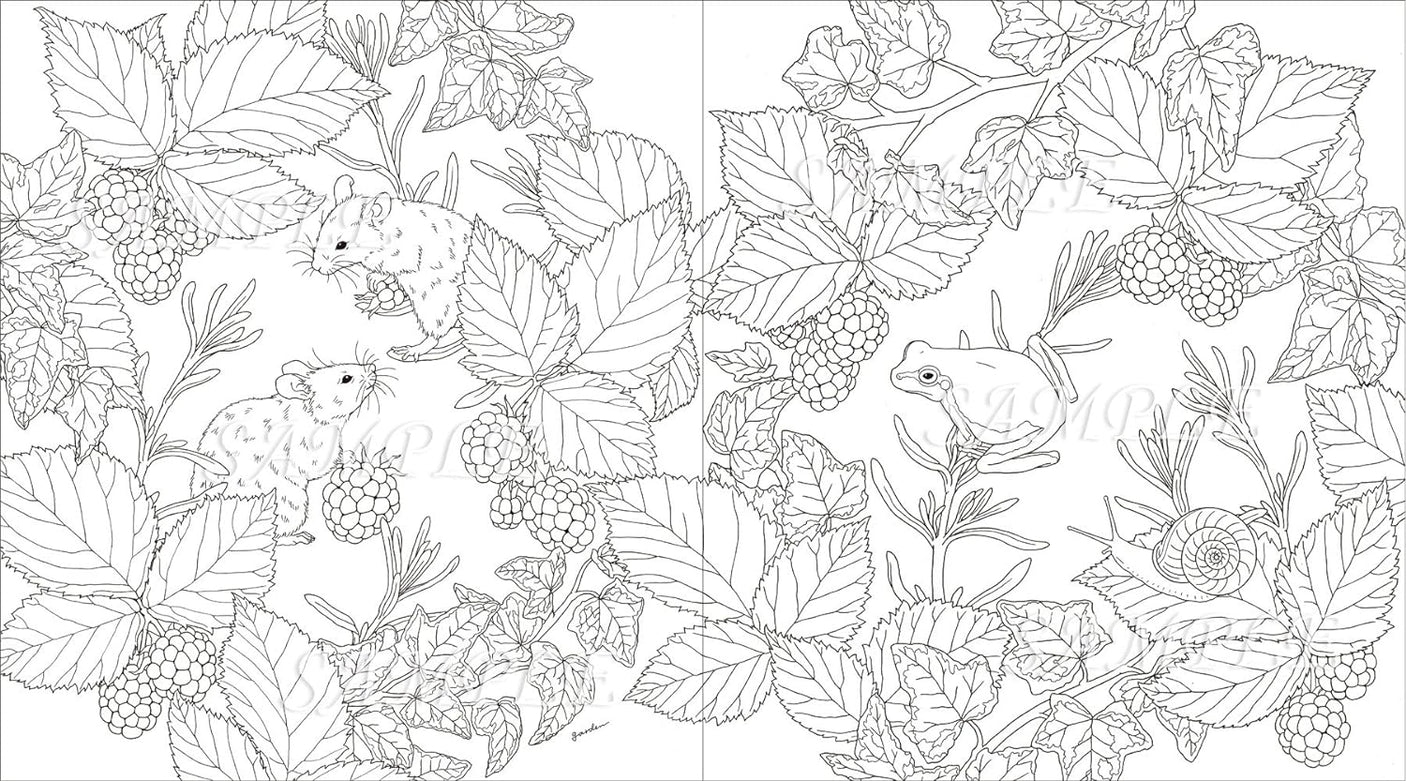 garden COLORING BOOK Coloring book - Japanese Craft Book