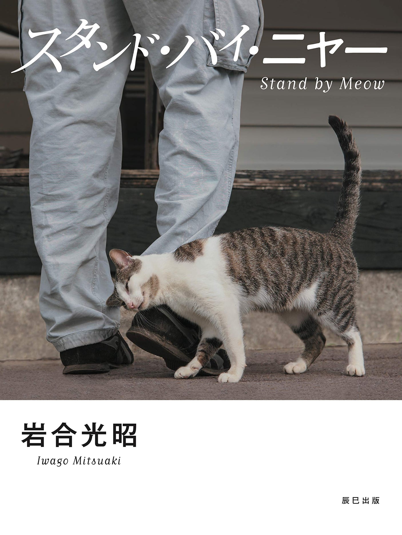 Stand by Meow Mitsuaki Iwago Photo Collection