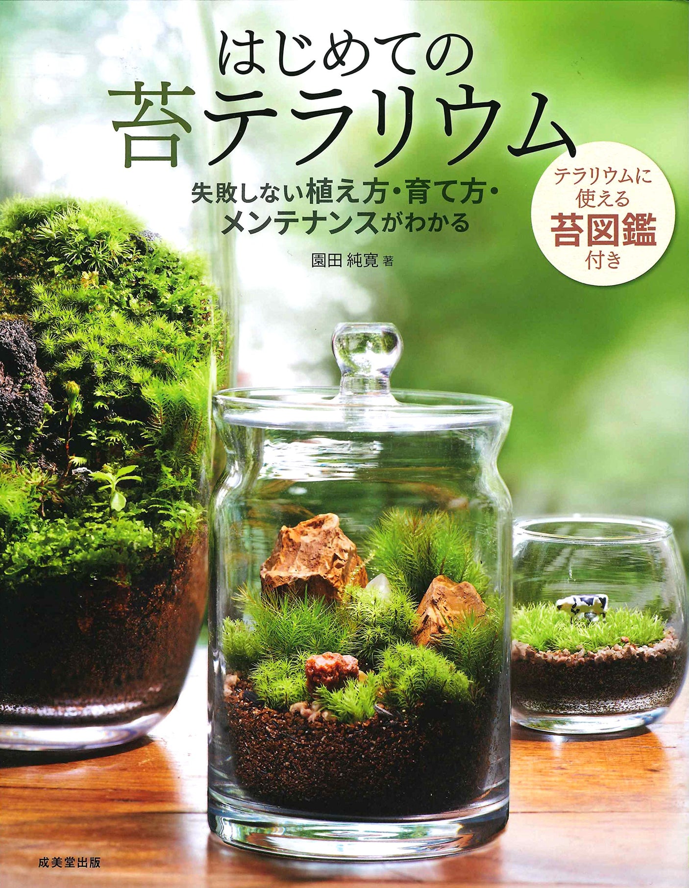 First moss terrarium - Learn how to plant, grow, and maintain without failure