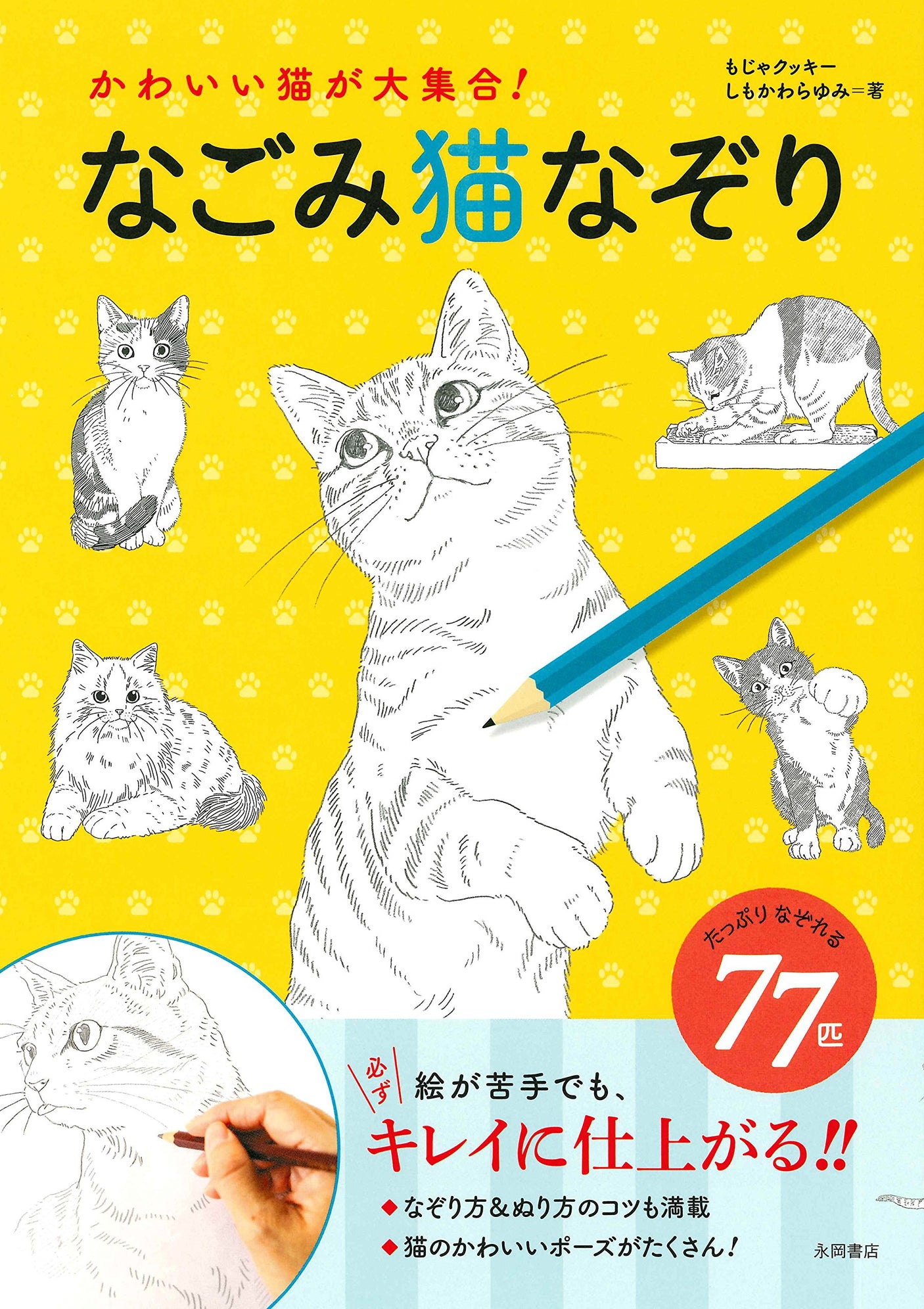 Nagomi cat tracing