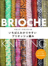 Bernd Koestler's Easiest to Understand Brioche Knitting Japanese Book making pattern - Japanese Craft Book