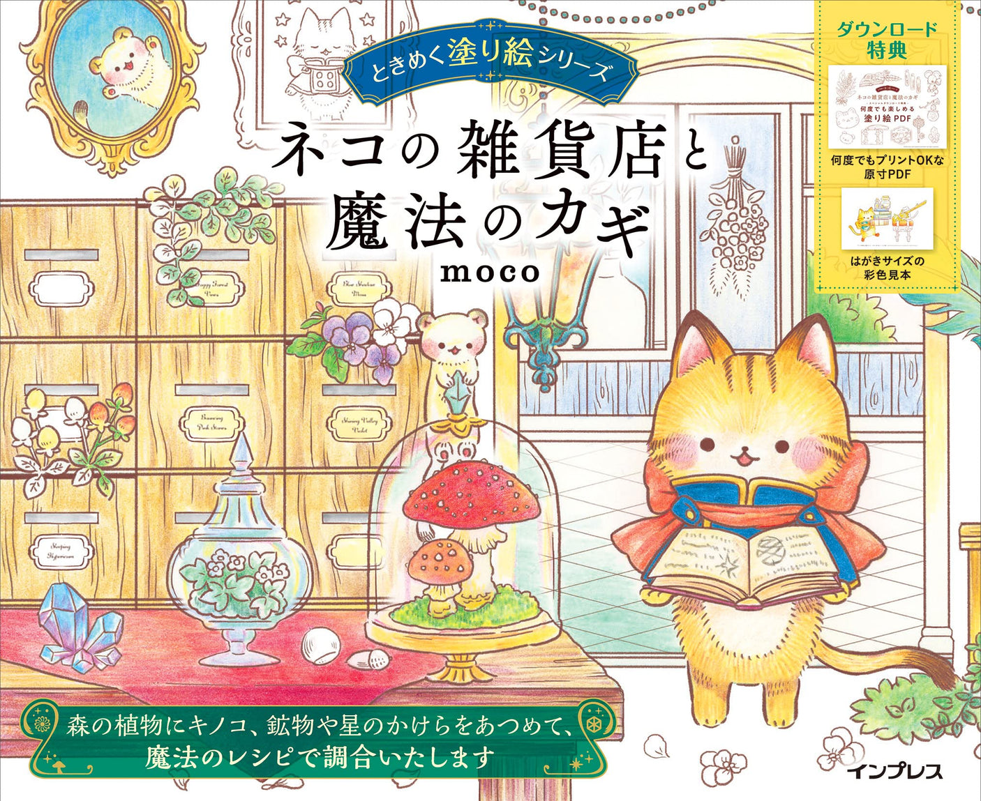 Cat's General Store and the Magic Key (TOKIMEKU series Ver. 3) - Japanese coloring Book