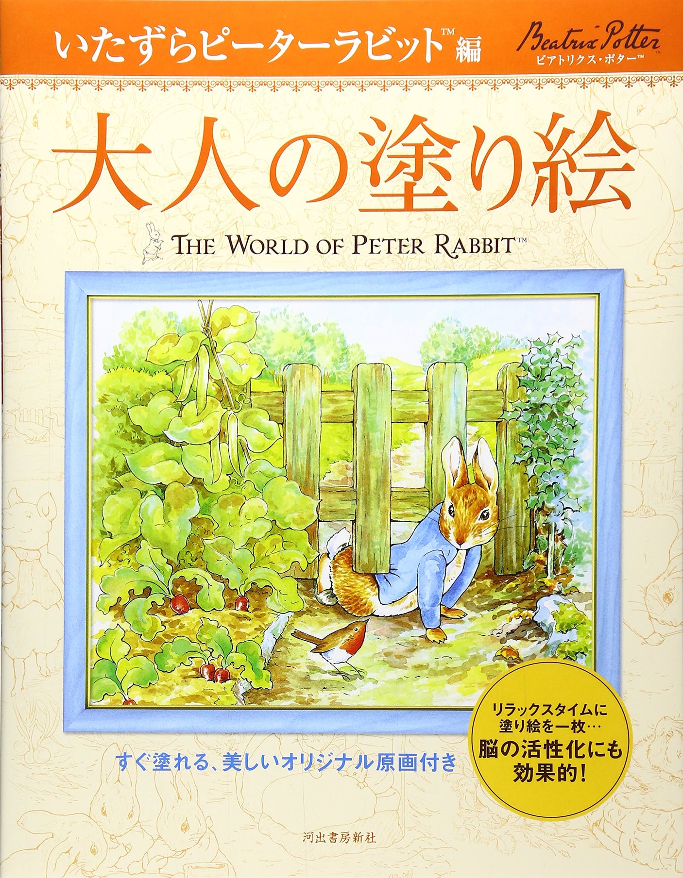 Adult coloring book Naughty Peter Rabbit - Japanese Craft Book